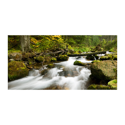 Tableau photo sur verre Ruisseau olczysien