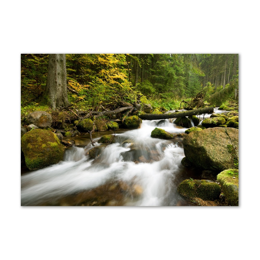 Tableau photo sur verre Ruisseau olczysien