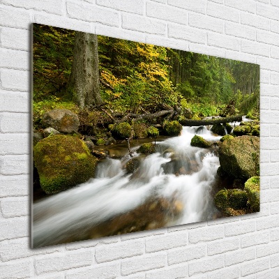 Tableau photo sur verre Ruisseau olczysien