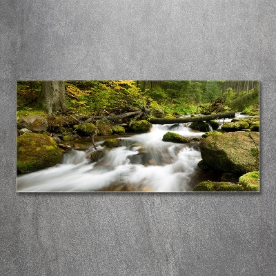 Tableau photo sur verre Ruisseau olczysien