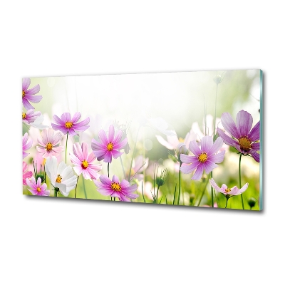 Tableau verre imprimé Fleurs dans un pré