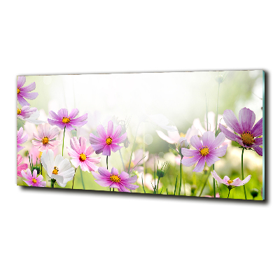 Tableau verre imprimé Fleurs dans un pré