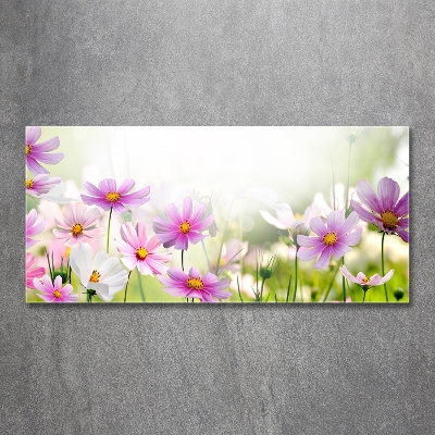 Tableau verre imprimé Fleurs dans un pré