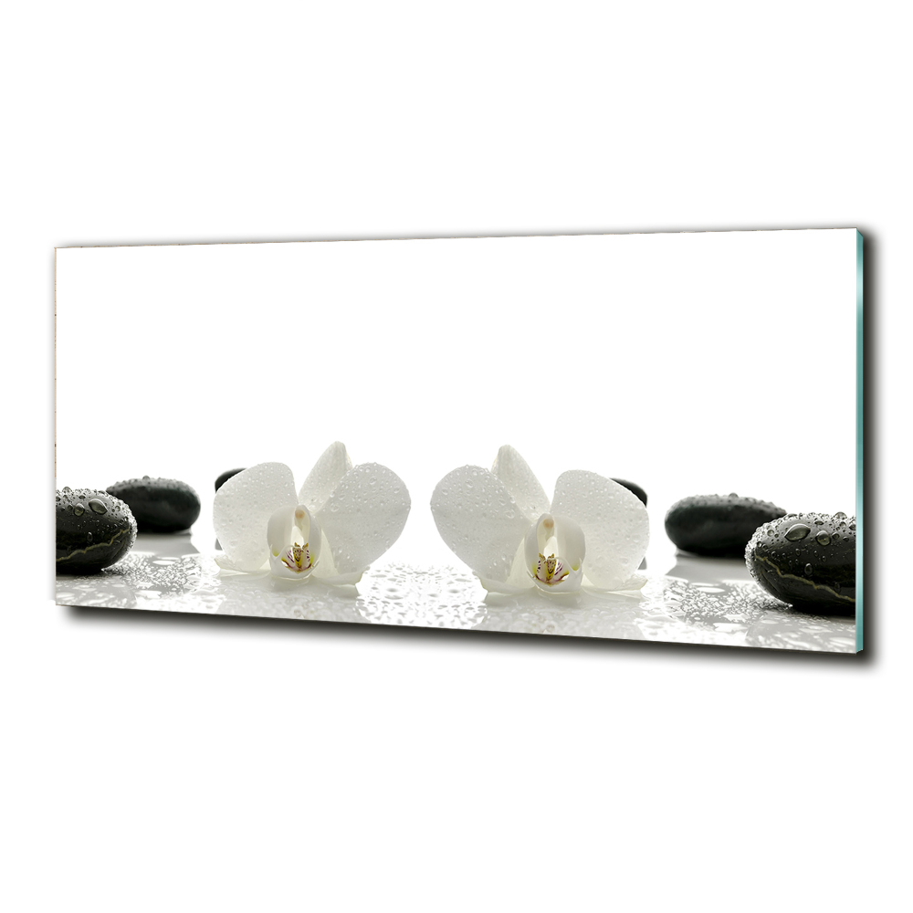 Tableau verre imprimé Orchidées