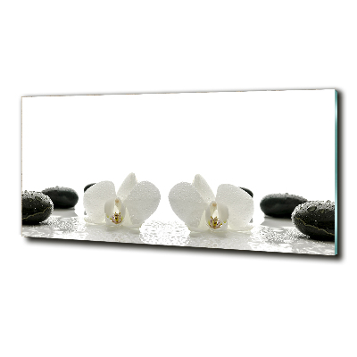 Tableau verre imprimé Orchidées