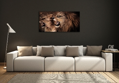 Tableau photo sur verre Lions rugissants