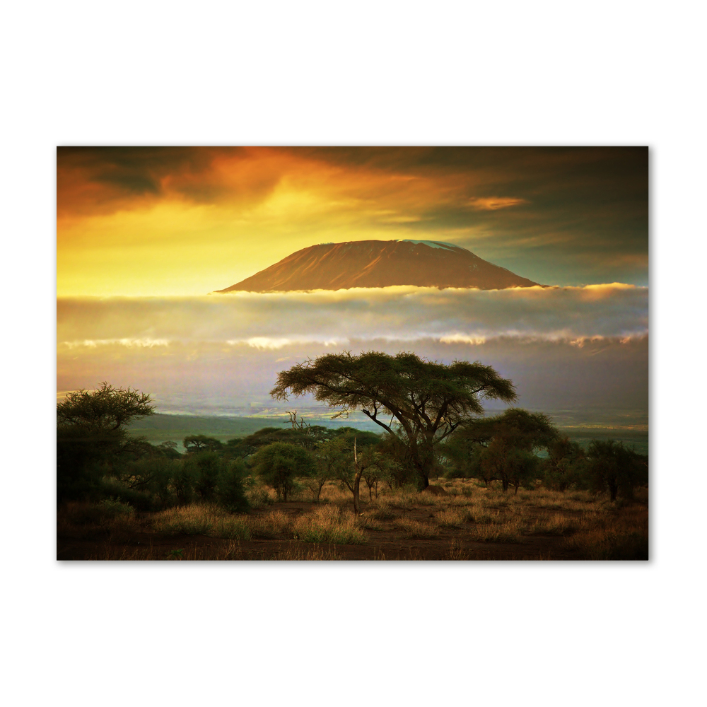 Tableau photo sur verre Kilimandjaro Kenya