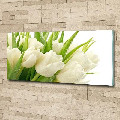 Tableau sur verre Tulipes blanches