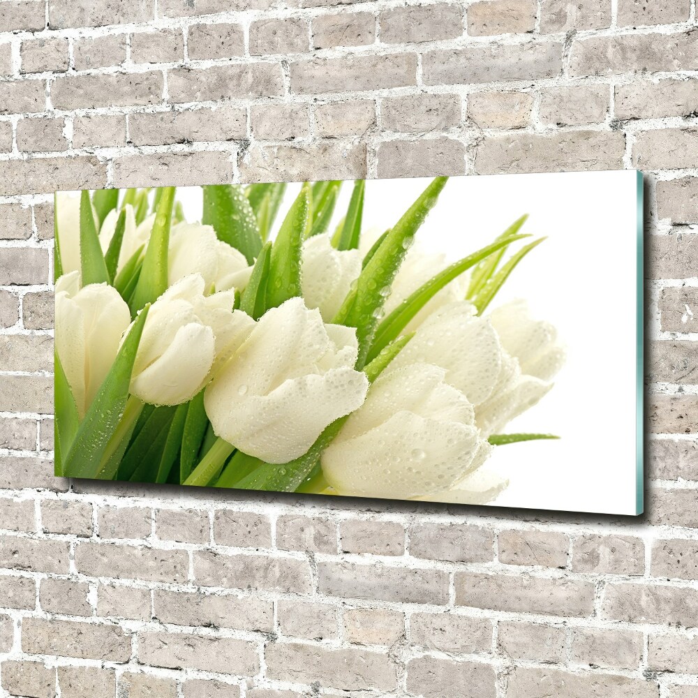 Tableau sur verre Tulipes blanches