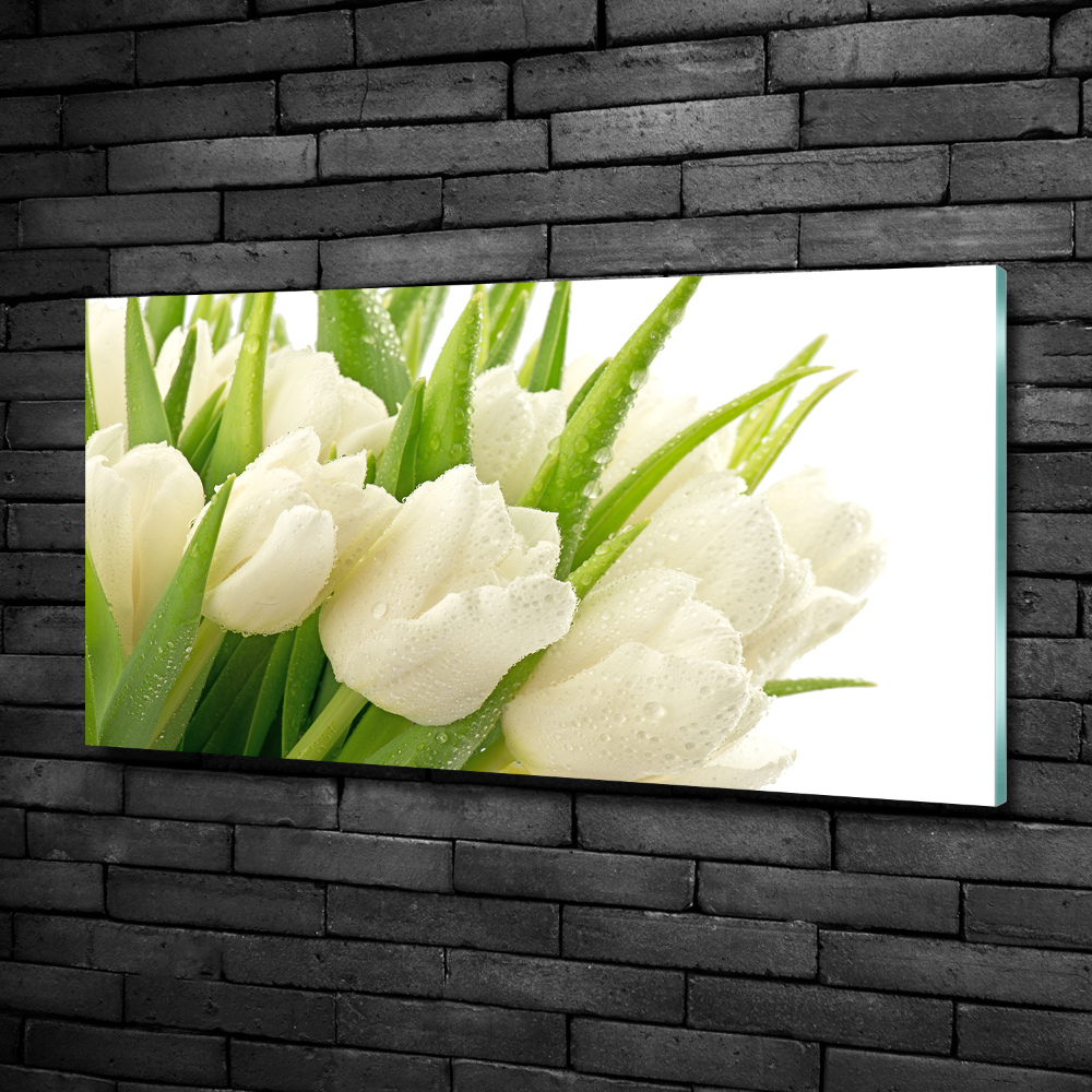 Tableau sur verre Tulipes blanches