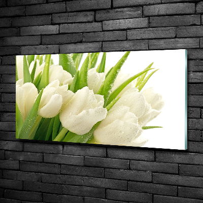 Tableau sur verre Tulipes blanches