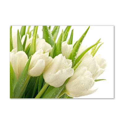 Tableau sur verre Tulipes blanches