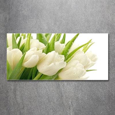 Tableau sur verre Tulipes blanches