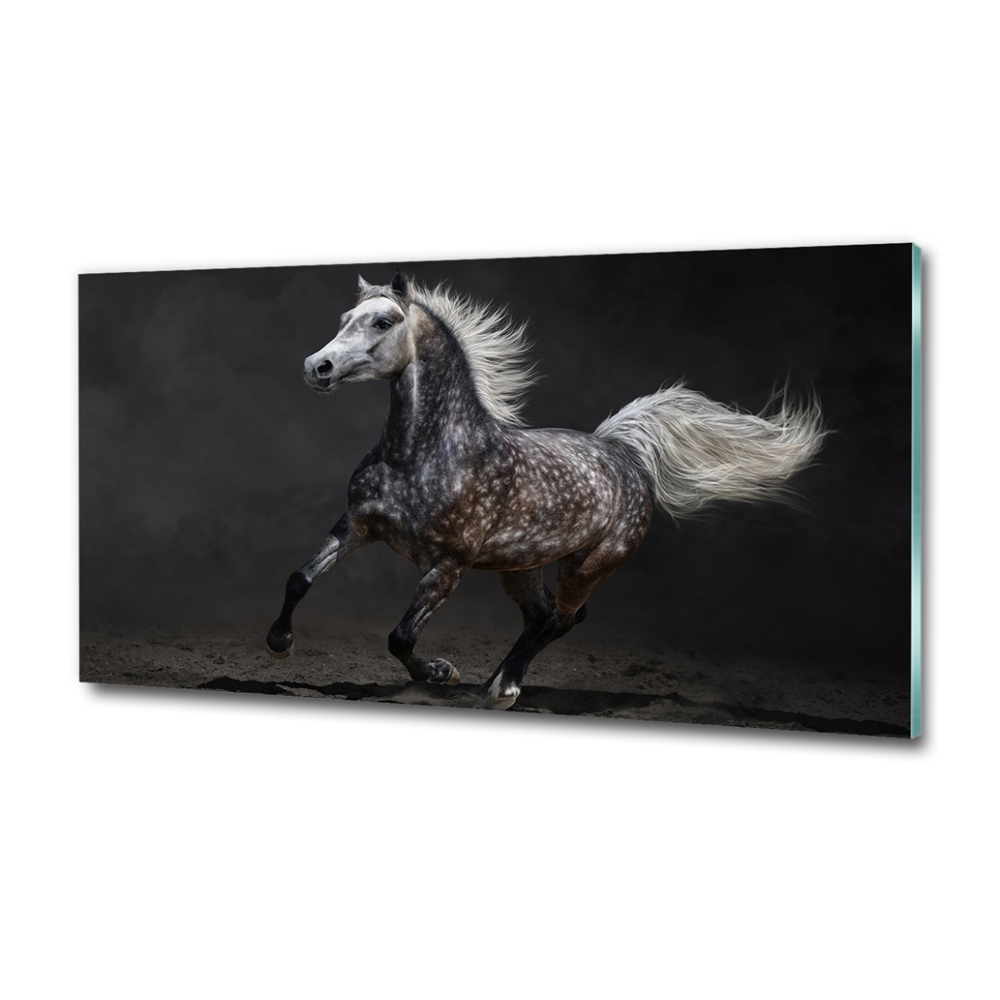 Tableau sur verre Cheval arabe gris