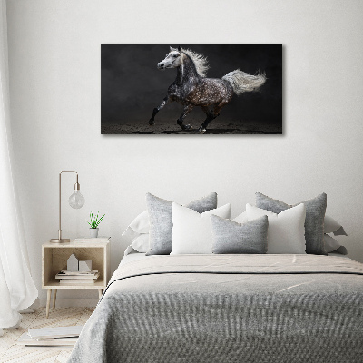 Tableau sur verre Cheval arabe gris