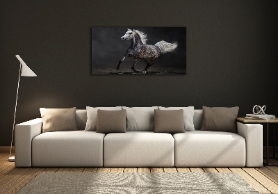 Tableau sur verre Cheval arabe gris