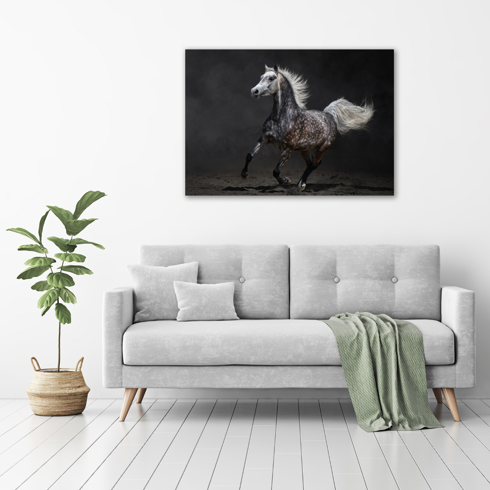 Tableau sur verre Cheval arabe gris