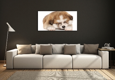 Tableau en verre Chiot Akita