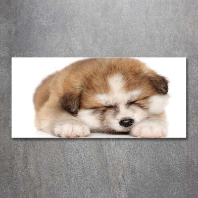 Tableau en verre Chiot Akita