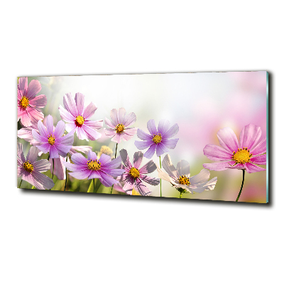 Tableau photo sur verre Fleurs dans un pré