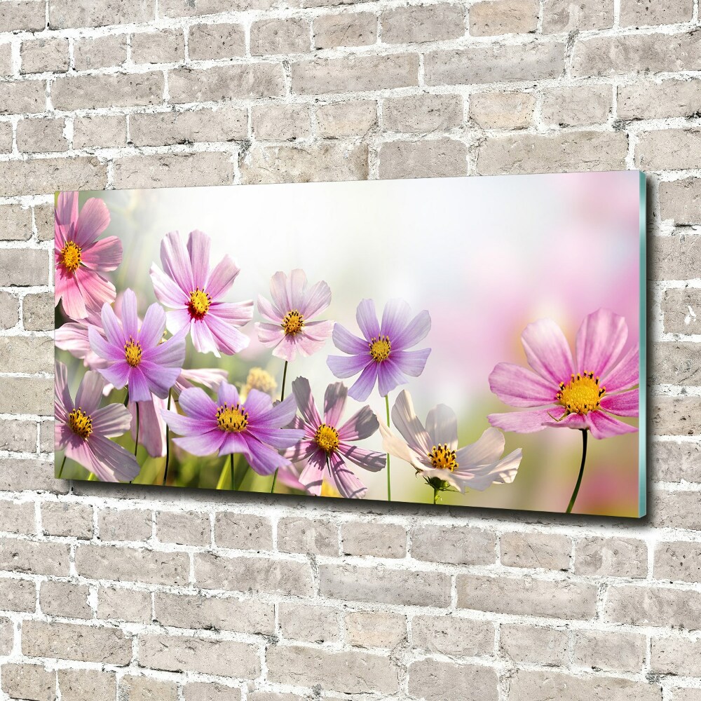 Tableau photo sur verre Fleurs dans un pré