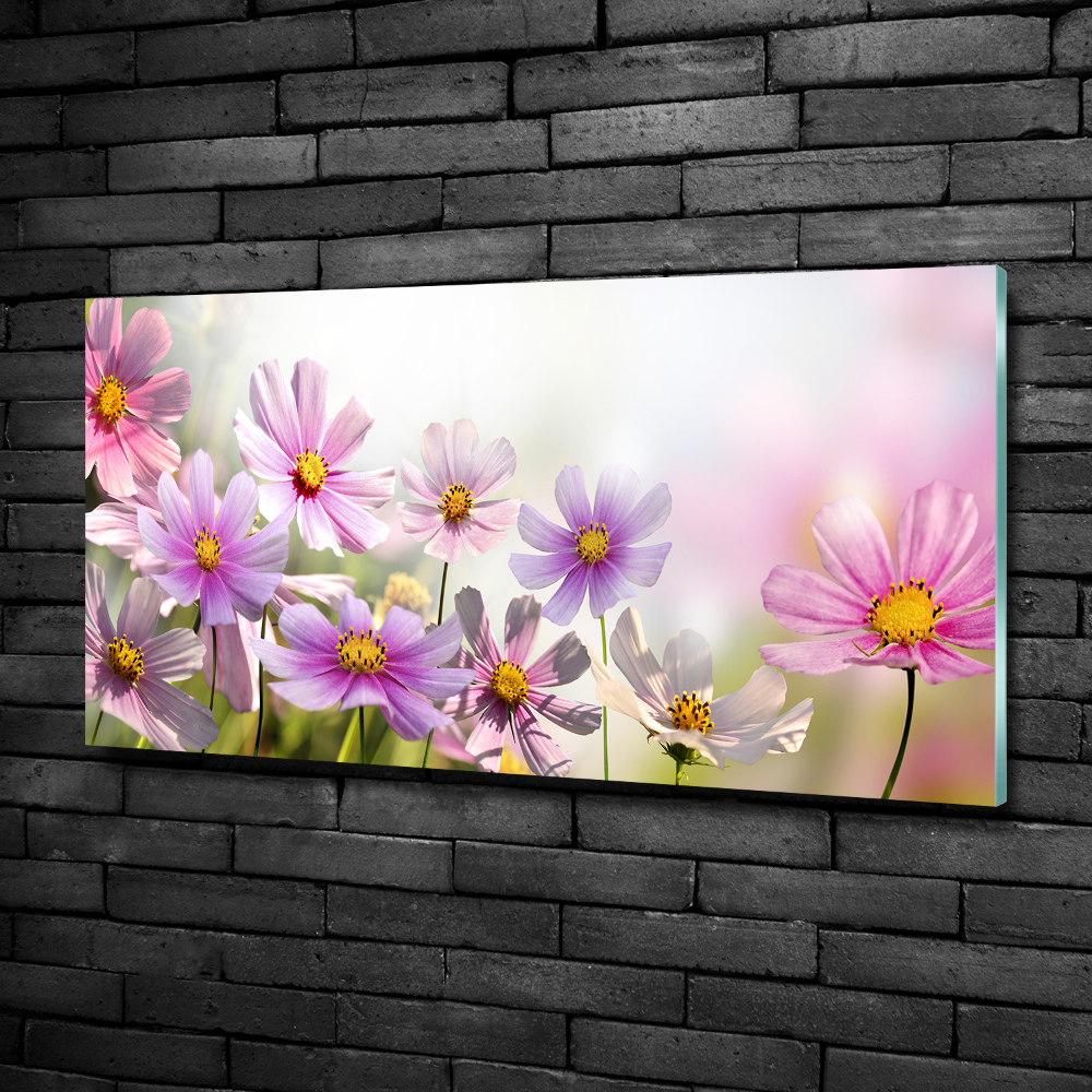 Tableau photo sur verre Fleurs dans un pré