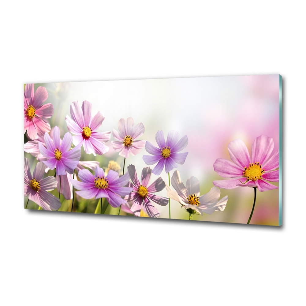 Tableau photo sur verre Fleurs dans un pré