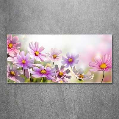 Tableau photo sur verre Fleurs dans un pré