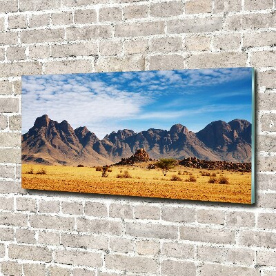 Tableau photo sur verre Rochers en Namibie