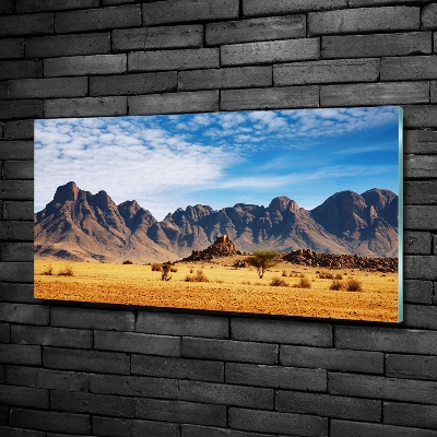 Tableau photo sur verre Rochers en Namibie