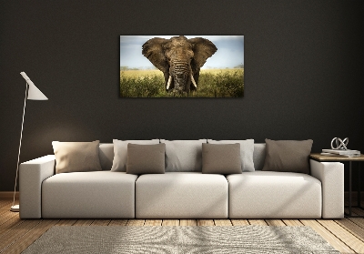 Tableau imprimé sur verre Eléphant dans la savane