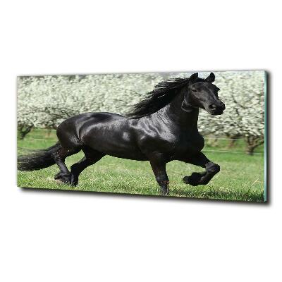 Tableau en verre Cheval noir en fleurs