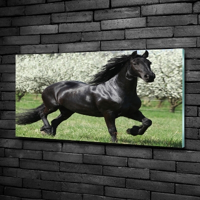 Tableau en verre Cheval noir en fleurs