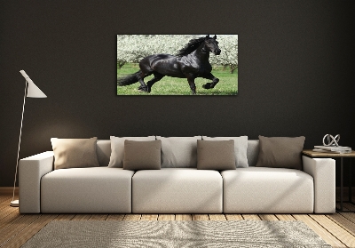 Tableau en verre Cheval noir en fleurs