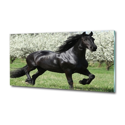 Tableau en verre Cheval noir en fleurs