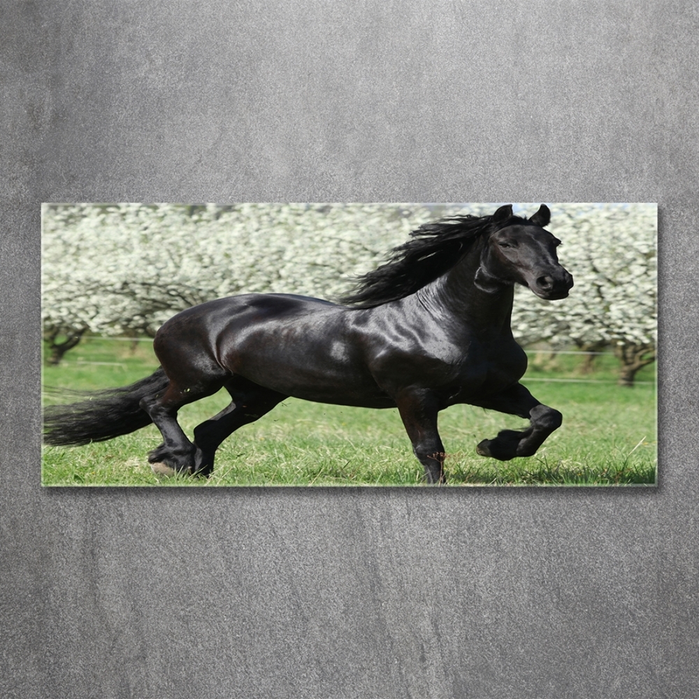 Tableau en verre Cheval noir en fleurs