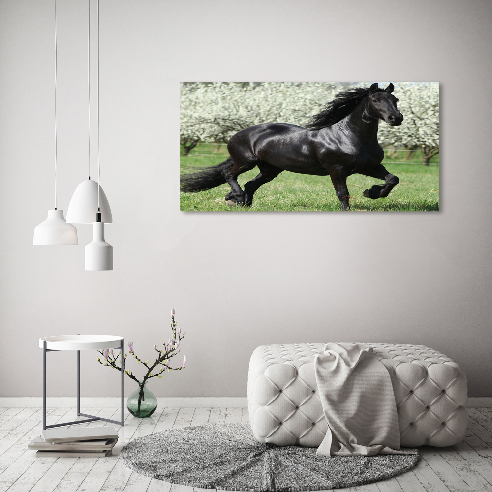 Tableau en verre Cheval noir en fleurs