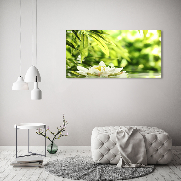 Tableau imprimé sur verre Nénuphar