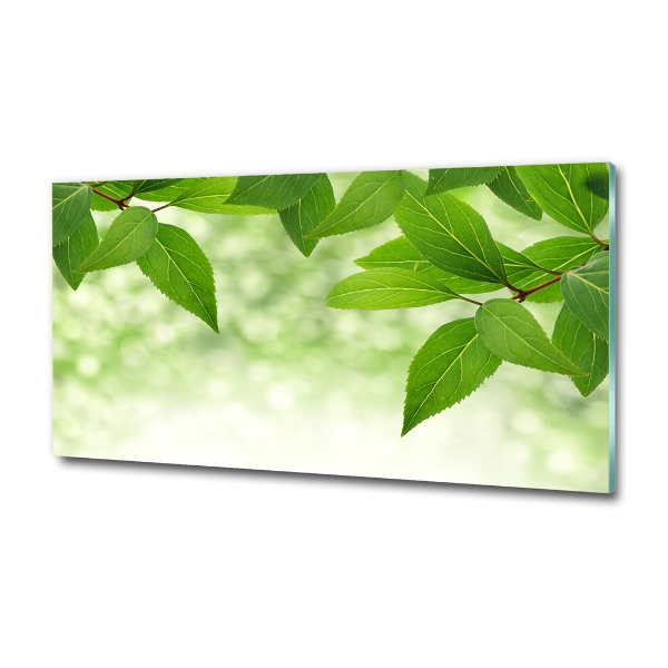 Tableau en verre Feuilles vertes