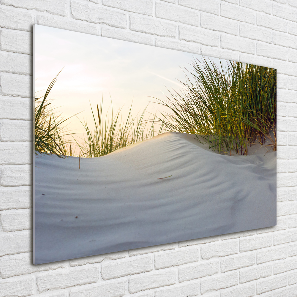 Tableau sur verre Les dunes de mer