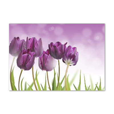 Tableau sur verre Tulipes en filets