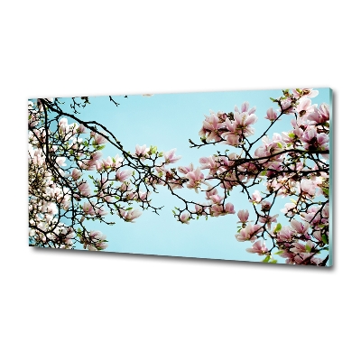 Tableau en verre Fleurs de magnolia