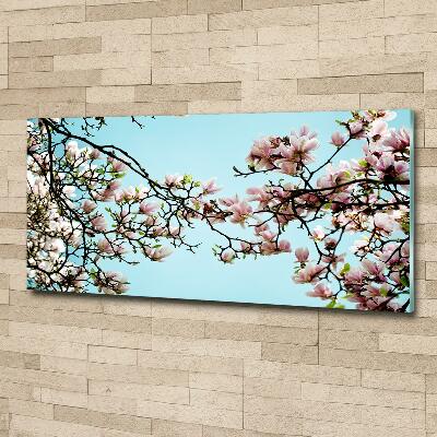 Tableau en verre Fleurs de magnolia