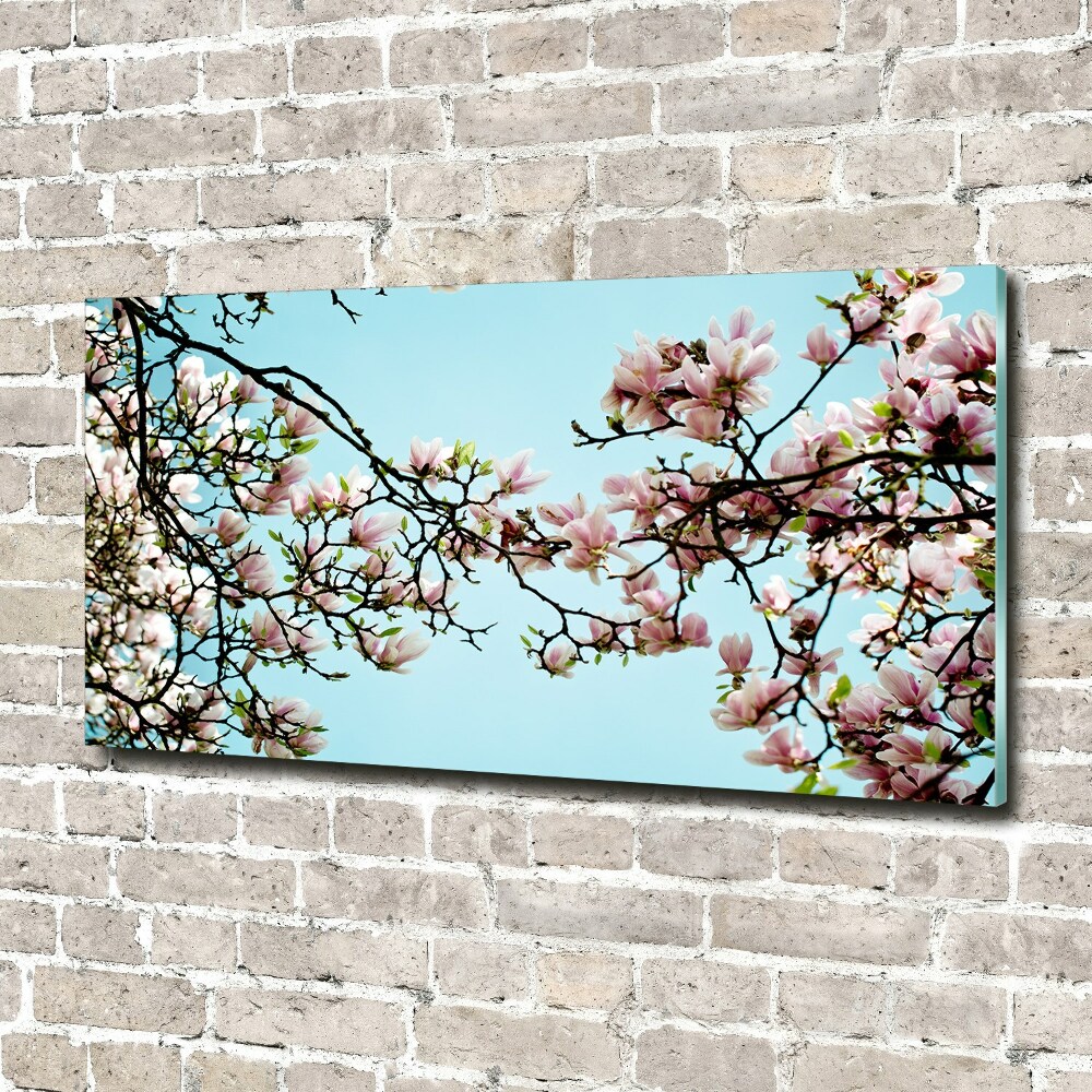 Tableau en verre Fleurs de magnolia