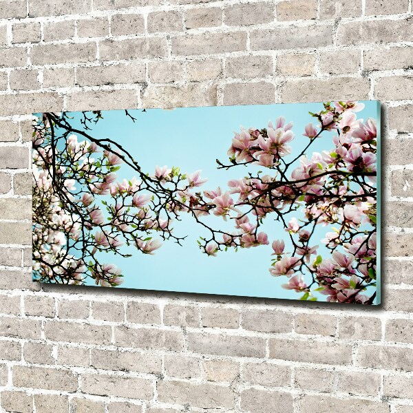 Tableau en verre Fleurs de magnolia