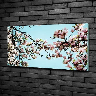 Tableau en verre Fleurs de magnolia