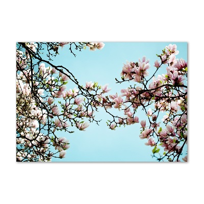 Tableau en verre Fleurs de magnolia