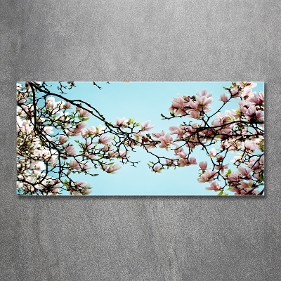 Tableau en verre Fleurs de magnolia