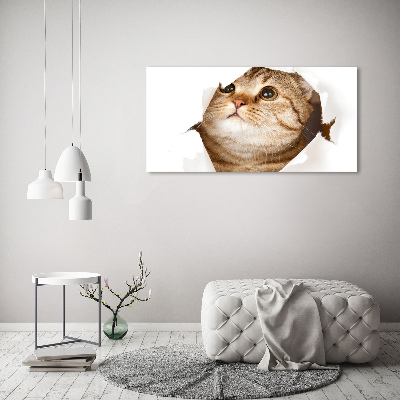 Tableau sur verre Chat