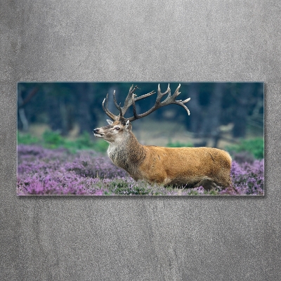 Tableau imprimé sur verre Cerf dans la lavande